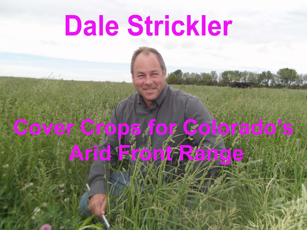 Video of Dale Strickler on cover crops