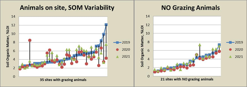 Soil test variability from grazing animals